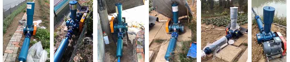 水產(chǎn)養(yǎng)殖羅茨風(fēng)機部分案例 水產(chǎn)養(yǎng)殖羅茨風(fēng)機部分案例