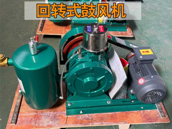 回轉(zhuǎn)式鼓風(fēng)機 回轉(zhuǎn)式鼓風(fēng)機