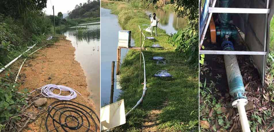 水產(chǎn)養(yǎng)殖羅茨增氧機(羅茨風(fēng)機) 水產(chǎn)養(yǎng)殖羅茨增氧機(羅茨風(fēng)機)