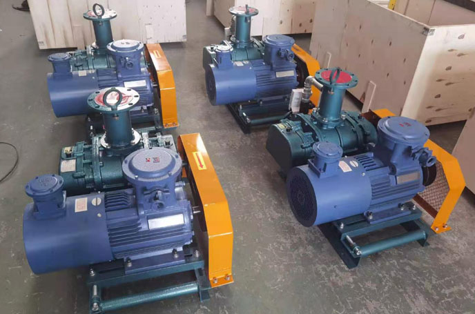 沼氣輸送羅茨風機 沼氣輸送羅茨風機